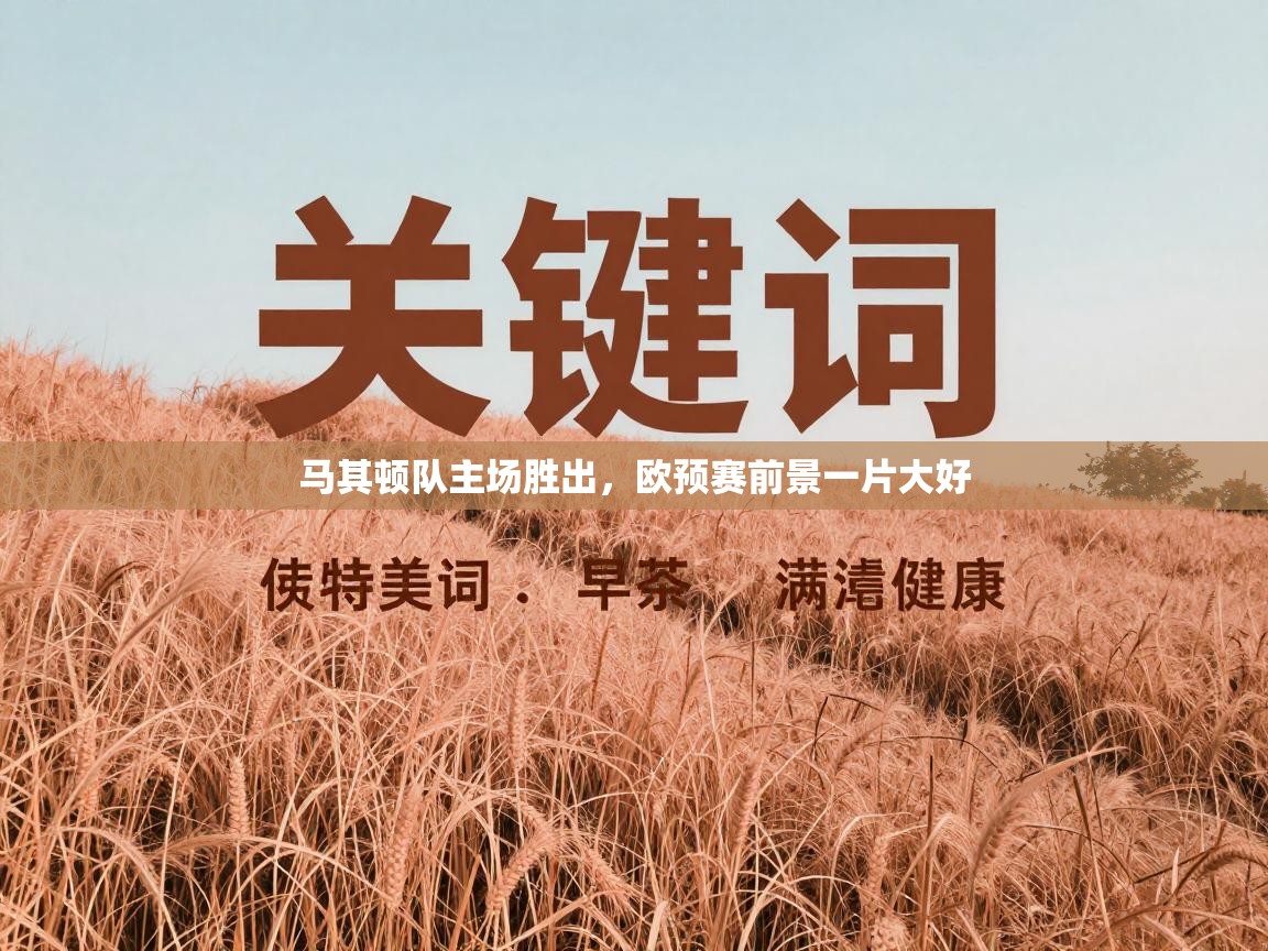 马其顿队主场胜出，欧预赛前景一片大好  第2张